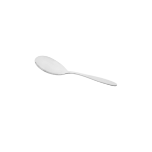 9" stainless steel serving spoon