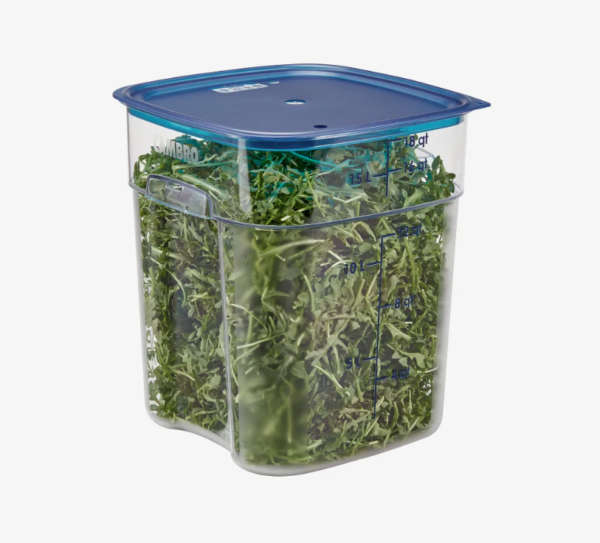 Food storage container containing lettuce with blue lid