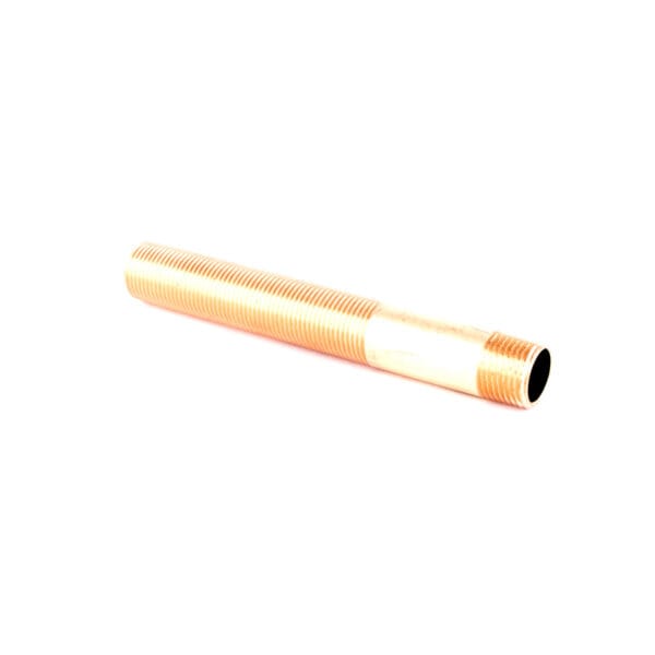 T&S  000381-20  Nipl BL-5500-10 Sply