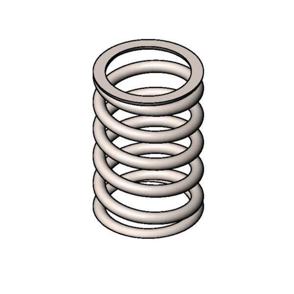 T&S  000894-45  Replacement Spring, B-0101 / 5Gf