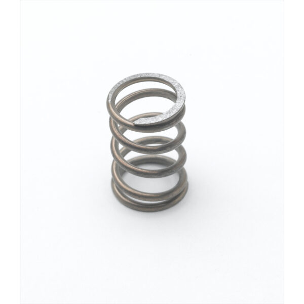 T&S  000895-45  008A Bonnet Spring
