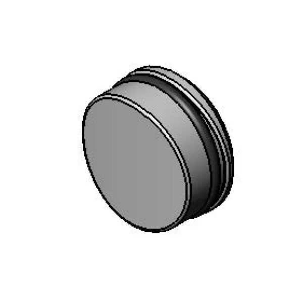 T&S  019086-45  ADE Body Plug for Pre-Set temp Option
