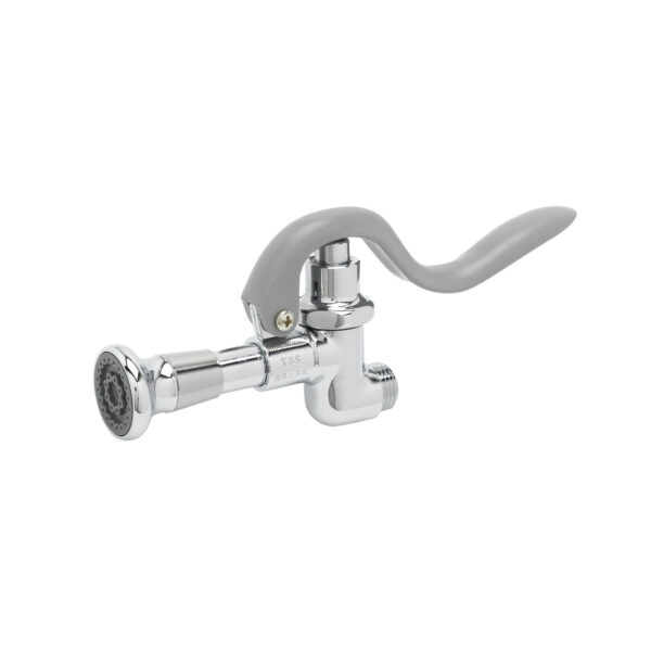 T&S  B-0107-B  Spray Vlv Unit w/ Rose Spray out