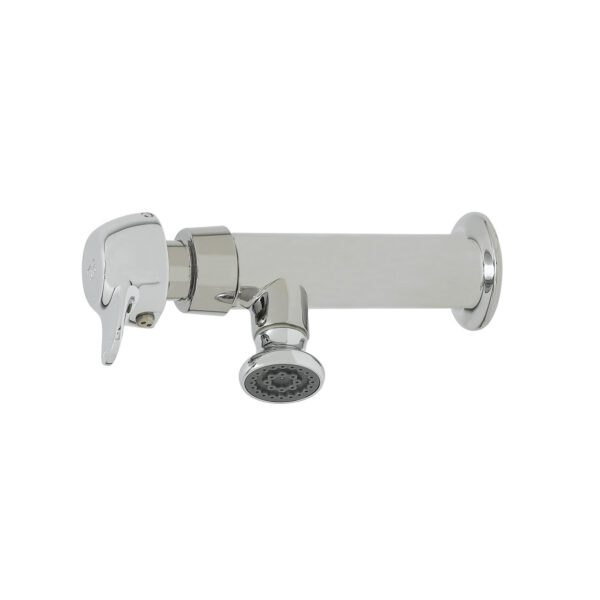 T&S  B-0800-PA  Wash Sink Fct, Pivot  Metering, 1/2 NPT-F in, Rosespray