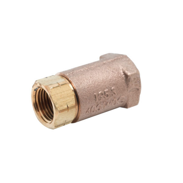 T&S  B-CVH1-2  Check Vlv, 1/2'' NPT (F), Horizontal