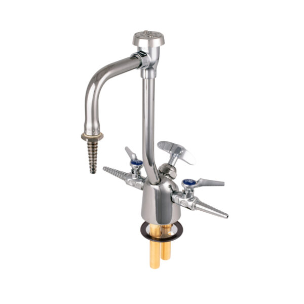T&S  BL-6005-02  Lab Fixture, Gas & Water, 2 Gas Cocks, 6'' VB G.N.
