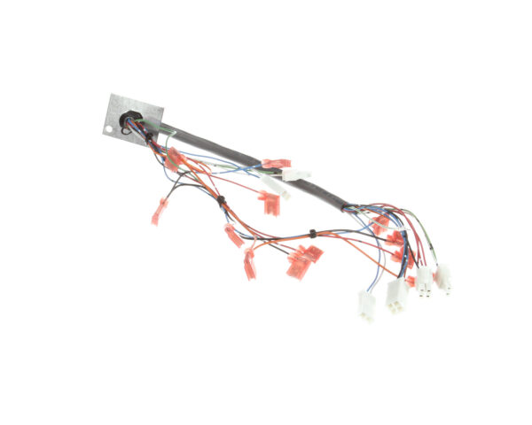 BUNN Parts  28549.0000  Wiring Harn, Door Interconnect